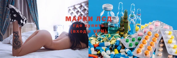 apvp Аркадак