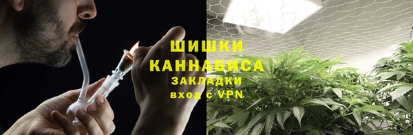 apvp Аркадак