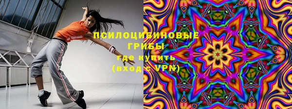 apvp Аркадак