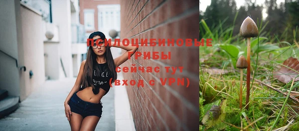 apvp Аркадак