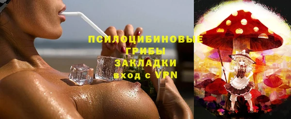 apvp Аркадак